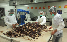 舜泰專(zhuān)業(yè)團(tuán)隊(duì)