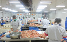 舜泰專(zhuān)業(yè)團(tuán)隊(duì)